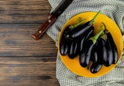 فروش بادمجان قلمی