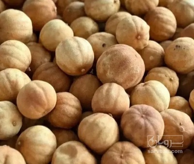فروش لیمو خشک