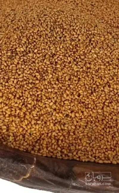 فروش کاملینا (کتان‌کش)