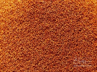 فروش خاکشیر (گیاه‌ دارویی)