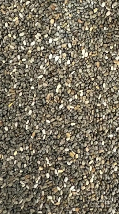 فروش دانه چیا (گیاه‌ دارویی)