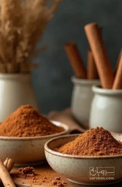 فروش پودر دارچین