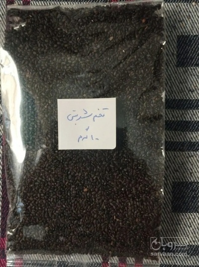 فروش تخم شربتی (گیاه‌ دارویی)