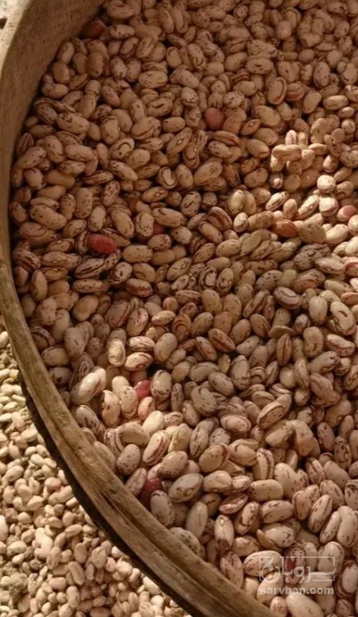 فروش لوبیا چیتی