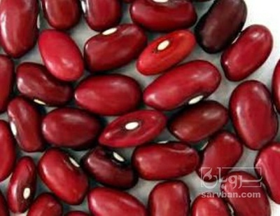 فروش لوبیا قرمز