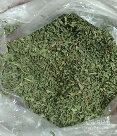 فروش ریحان (گیاه‌ دارویی)