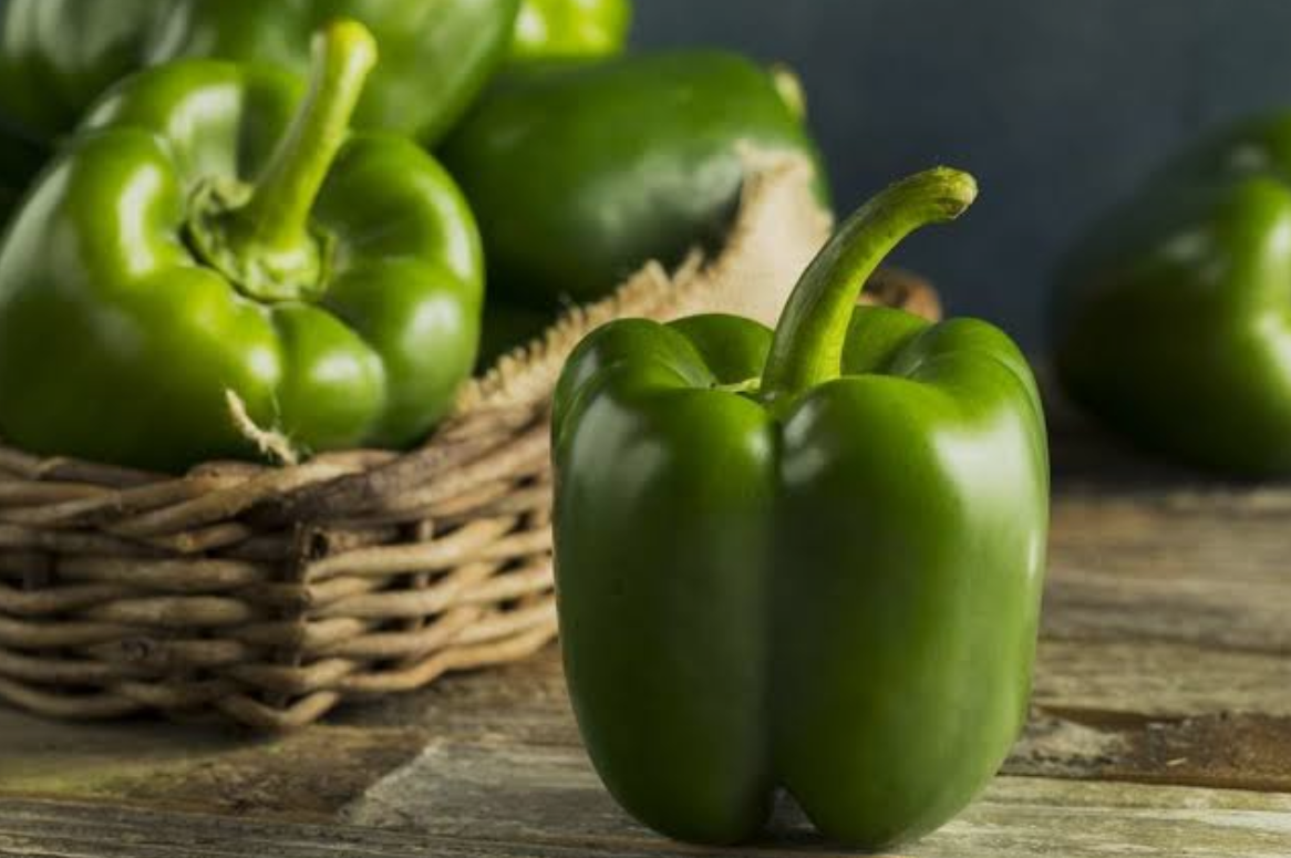 فروش فلفل دلمه ای