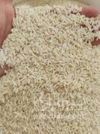 فروش برنج کاظمی