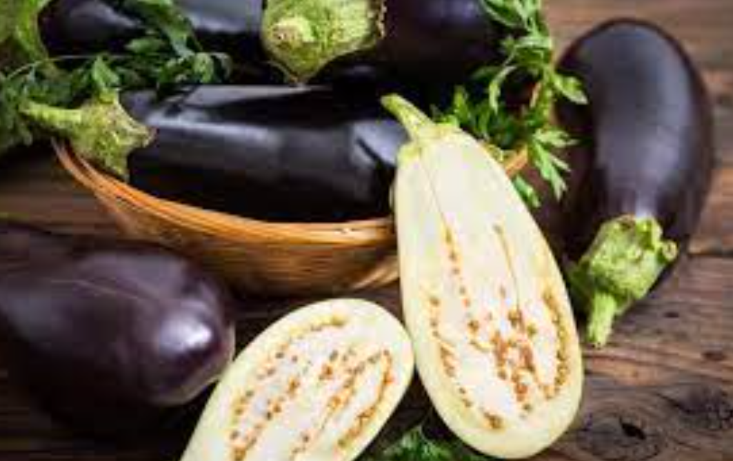 فروش بادمجان قلمی