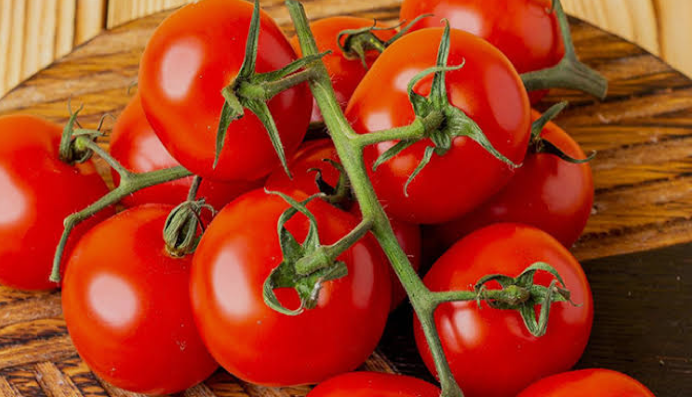 فروش گوجه فرنگی