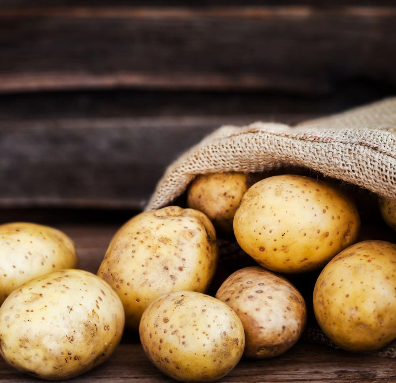 فروش سیب زمینی