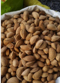فروش بادام