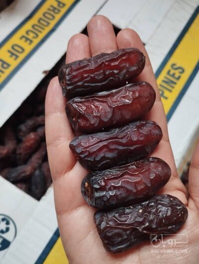 فروش خرما