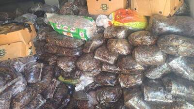 فروش خرماضایعاتی