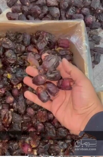 فروش ضایعات خرما مضافتی و کلوته