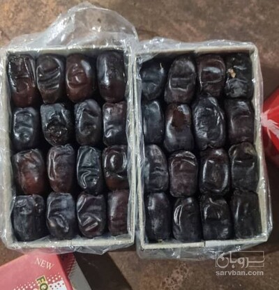 فروش خرما مضافتی سه ردیفه