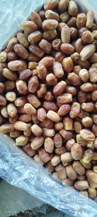 فروش خرما زاهدی درجه 1 صادراتی