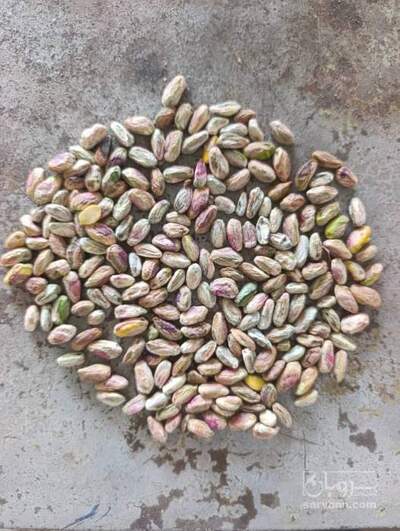 فروش مغز پسته سالم