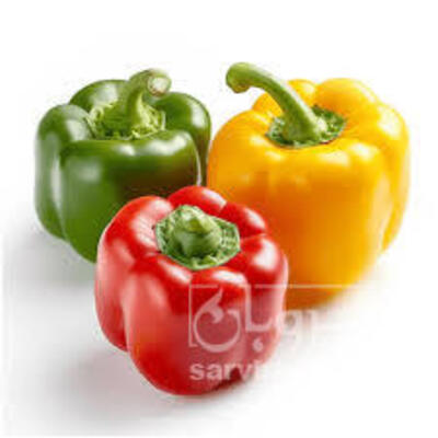 فروش فلفل دلمه ای رنگی