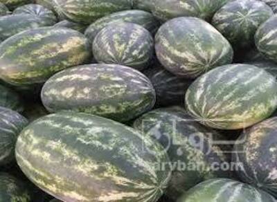 فروش هندوانه