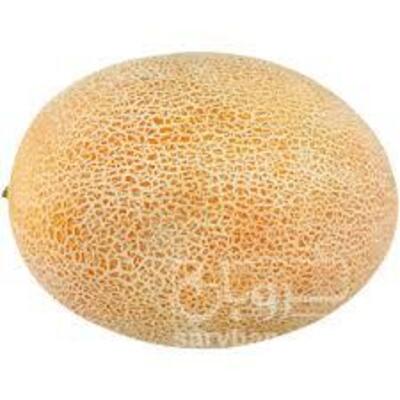 فروش ملون