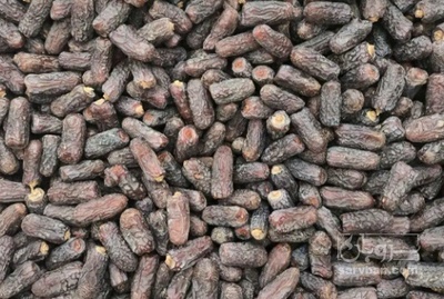 فروش خرما پیارم