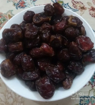 فروش خرما کبکاب