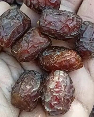 فروش خرما خاصویی