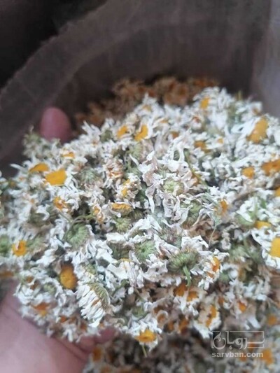 فروش بابونه (گیاه‌ دارویی)