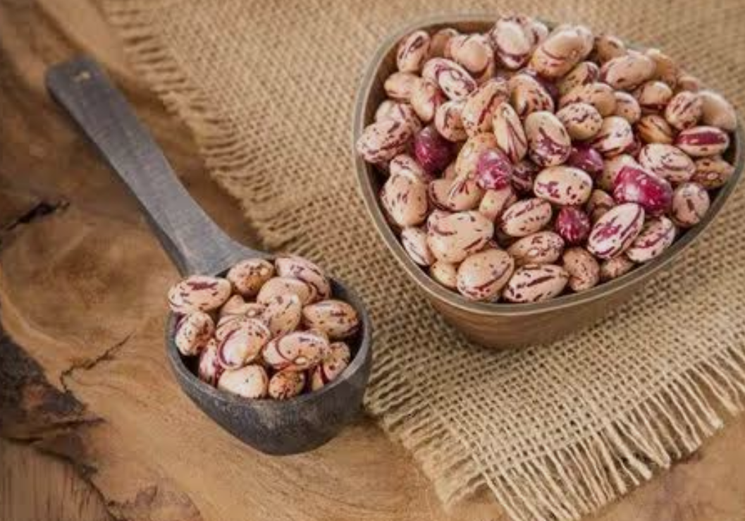 فروش لوبیا چیتی