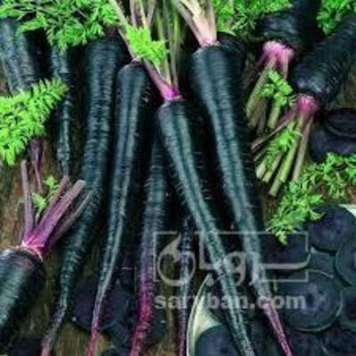 فروش هویج بنفش ایرانی هویج سیاه