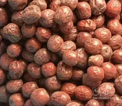 فروش عناب دارویی