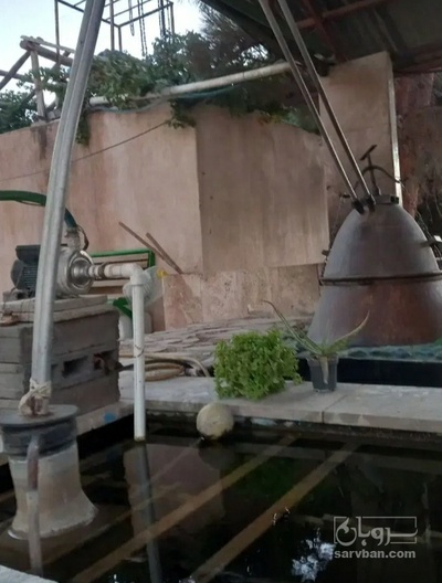 فروش عرق بیدمشک