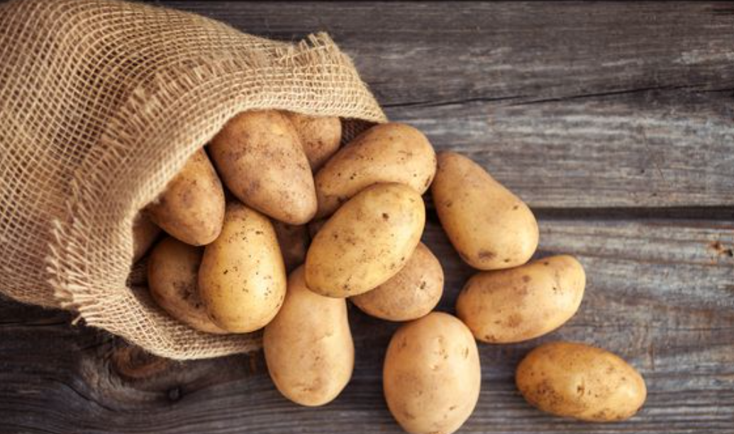 فروش سیب زمینی