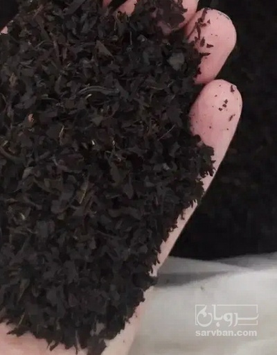 فروش چای سیاه ممتاز بهاره