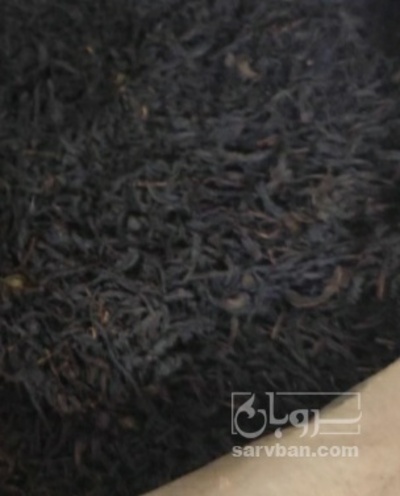 فروش چای سیاه شکسته ممتاز