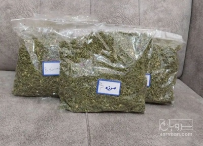 فروش مرزه (گیاه‌ دارویی)