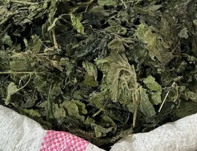 فروش گزنه (گیاه‌ دارویی)