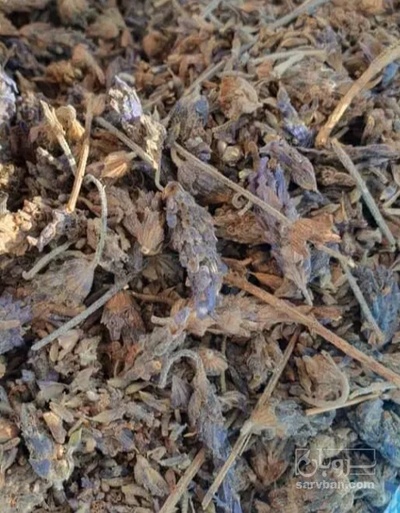 فروش اسطوخودوس (گیاه‌ دارویی)