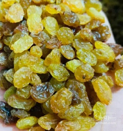 فروش کشمش زرد تیزابی