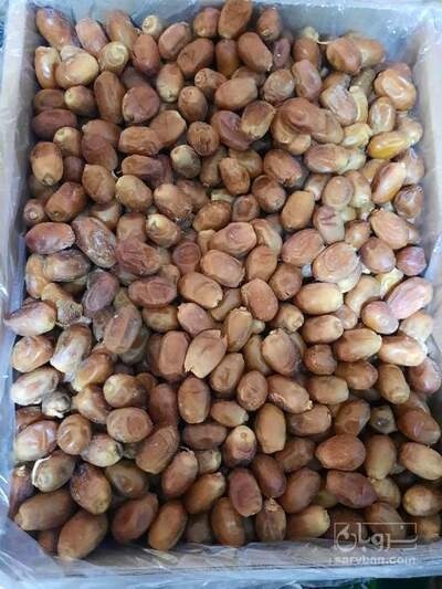 فروش خرما