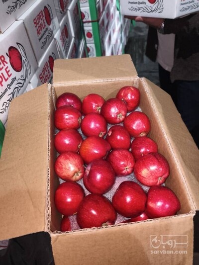 فروش سیب