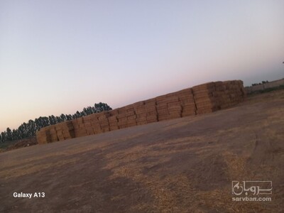 فروش کاه و کلش گندم