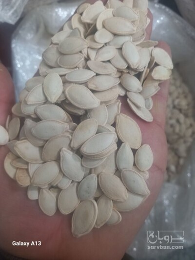 فروش تخمه  کدو بو داده