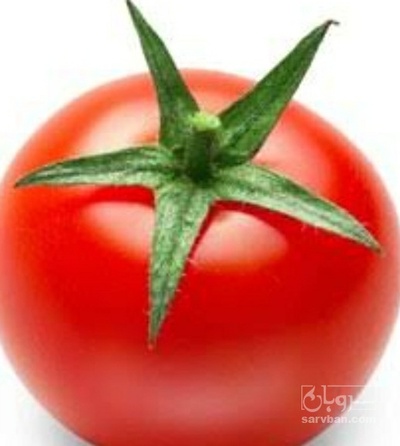 فروش گوجه فرنگی