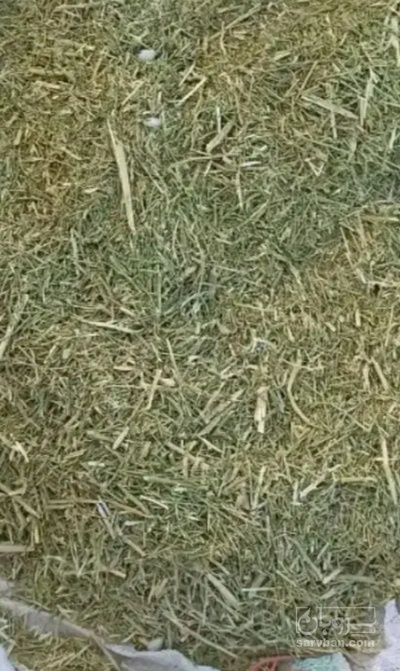 فروش کاه  خارشتر (گیاه‌ دارویی)