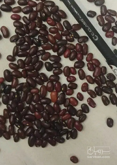 فروش لوبیا قرمز