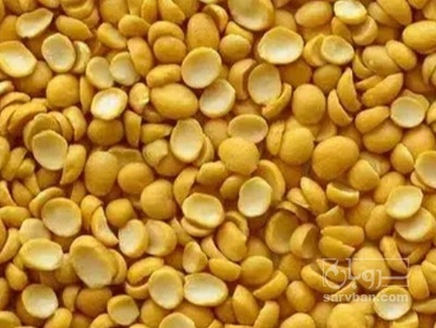 فروش نخود کفتری - لپه