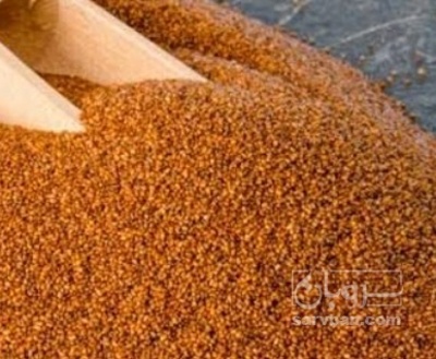 فروش خاکشیر (گیاه‌ دارویی)