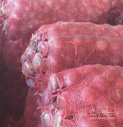 فروش پیاز قرمز